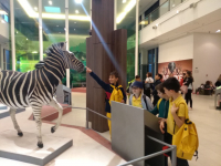 Prirodnjački muzej 65 Prirodnjački muzej 65