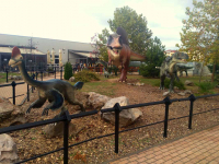 Prirodnjački muzej 67 Prirodnjački muzej 67