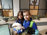 Prirodnjački muzej 74 Prirodnjački muzej 74