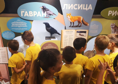 Učenici otkrili čuda Prirodnjačkog muzeja