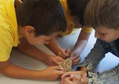 Zelena škola: Osnovci na radionici reciklaže