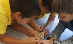 Radionica reciklaže 1 Radionica reciklaže 1