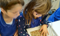 Radionica reciklaže 17 Radionica reciklaže 17