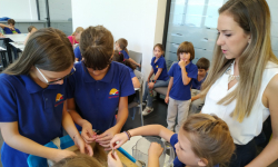 Radionica reciklaže 29 Radionica reciklaže 29