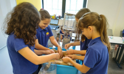 Radionica reciklaže 30 Radionica reciklaže 30